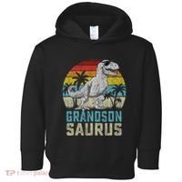 Grandsonsaurus T Rex Dinosaur Grandson Saurus Family Toddler Hoodie thumb 0