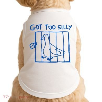 Got Too Silly Funny Duck, Silly Goose Funny, meme Doggie Tank