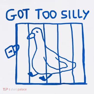 Got Too Silly Funny Duck, Silly Goose Funny, meme Flat Bill Trucker Hat