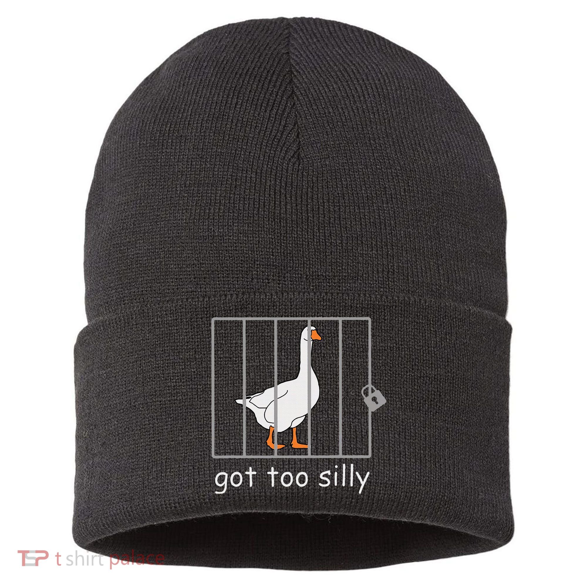 Got Too Silly  Silly Goose Sustainable Knit Beanie