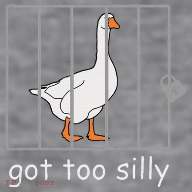 Got Too Silly  Silly Goose Women's Racerback Cropped Tank