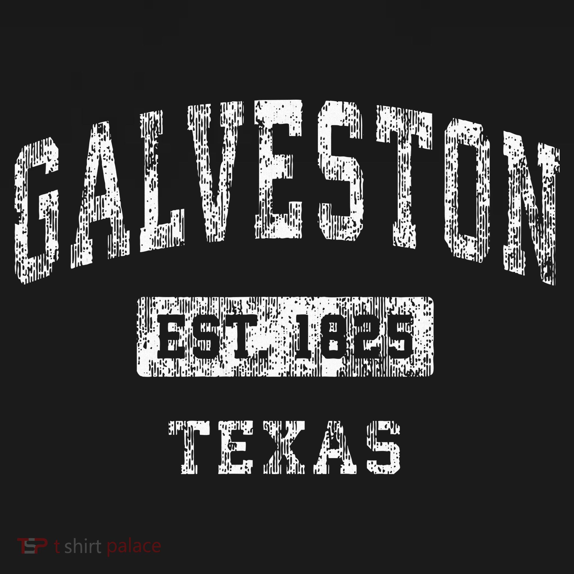 Galveston Texas Tx Vintage Established Sports T-Shirt
