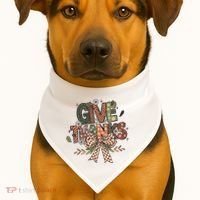 Give Thanks Thankful Coquette Thanksgiving USA-Made Doggie Bandana thumb 1