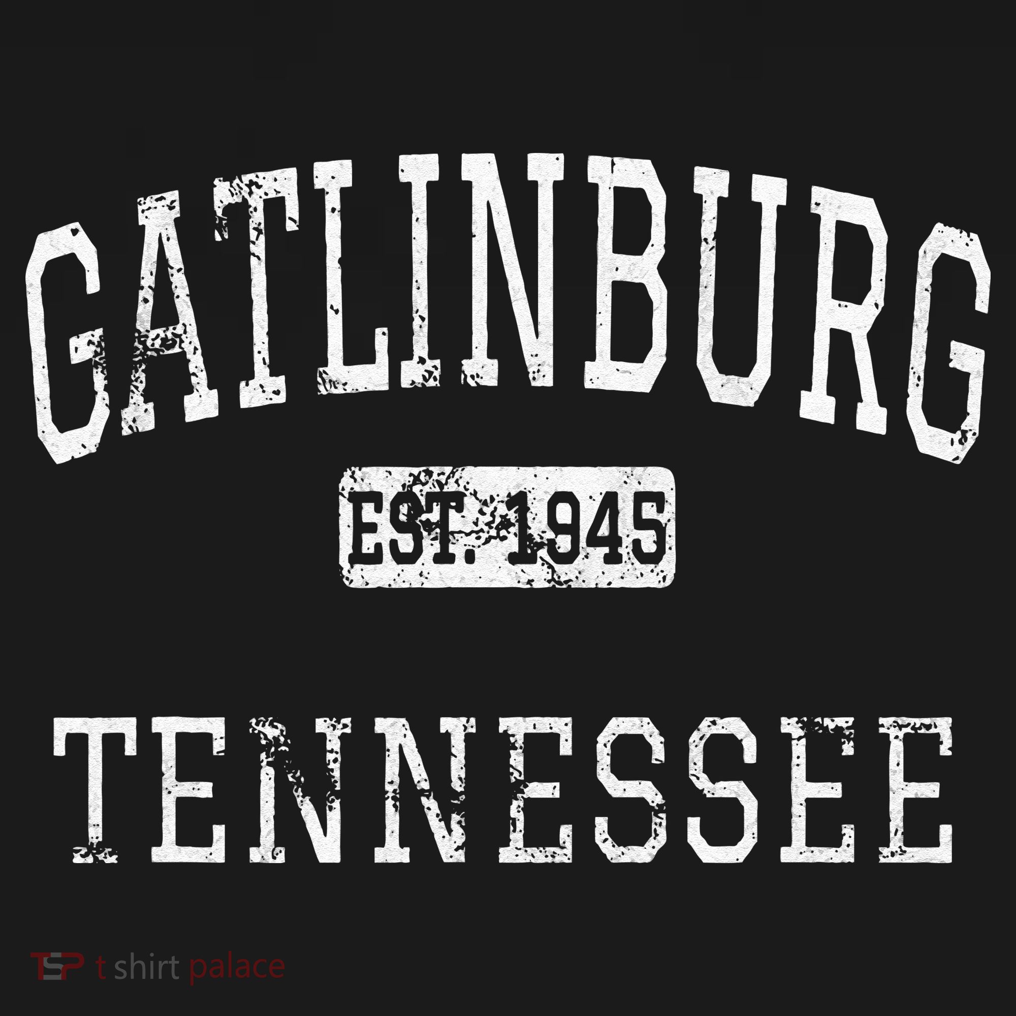 Gatlinburg Tennessee TN Vintage T-Shirt