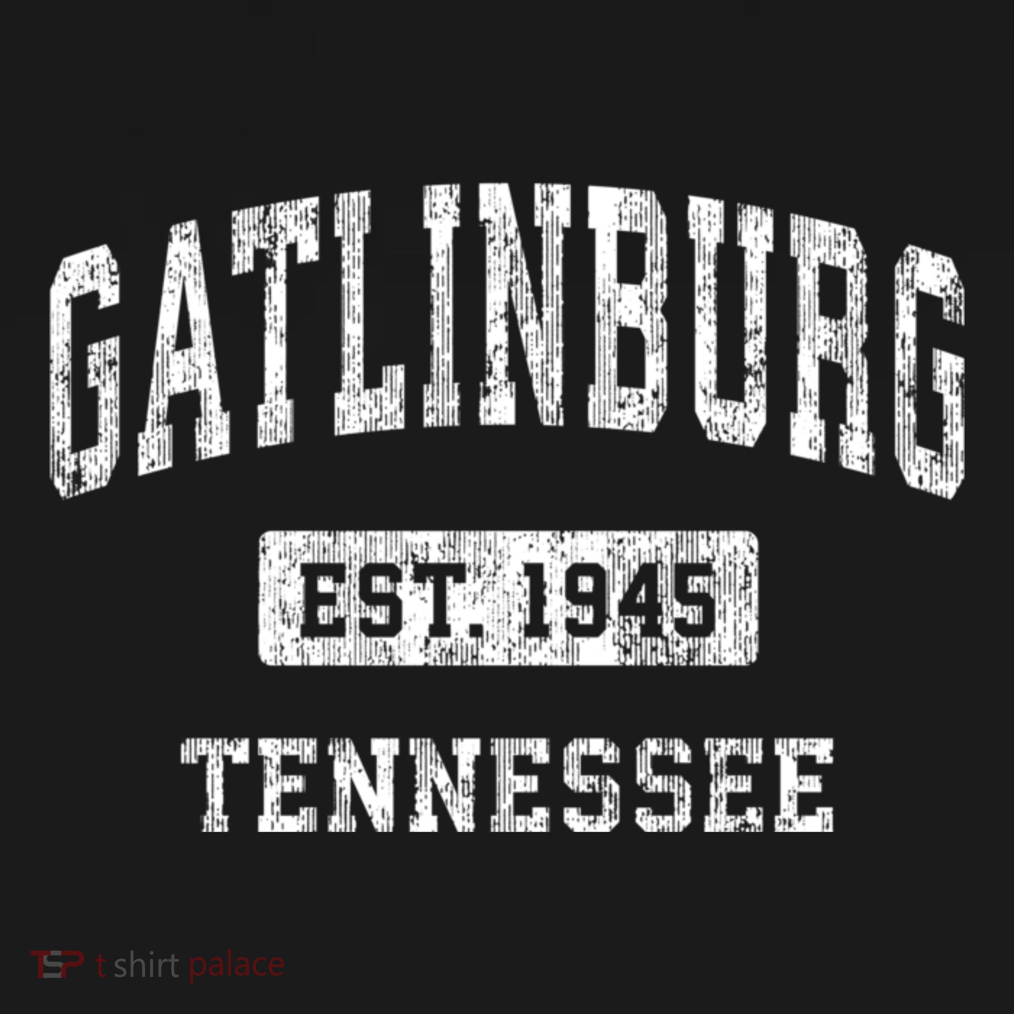 Gatlinburg Tennessee Tn Vintage Sports T-Shirt
