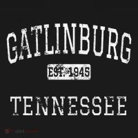 Gatlinburg Tennessee Tn Vintage T-Shirt thumb 7