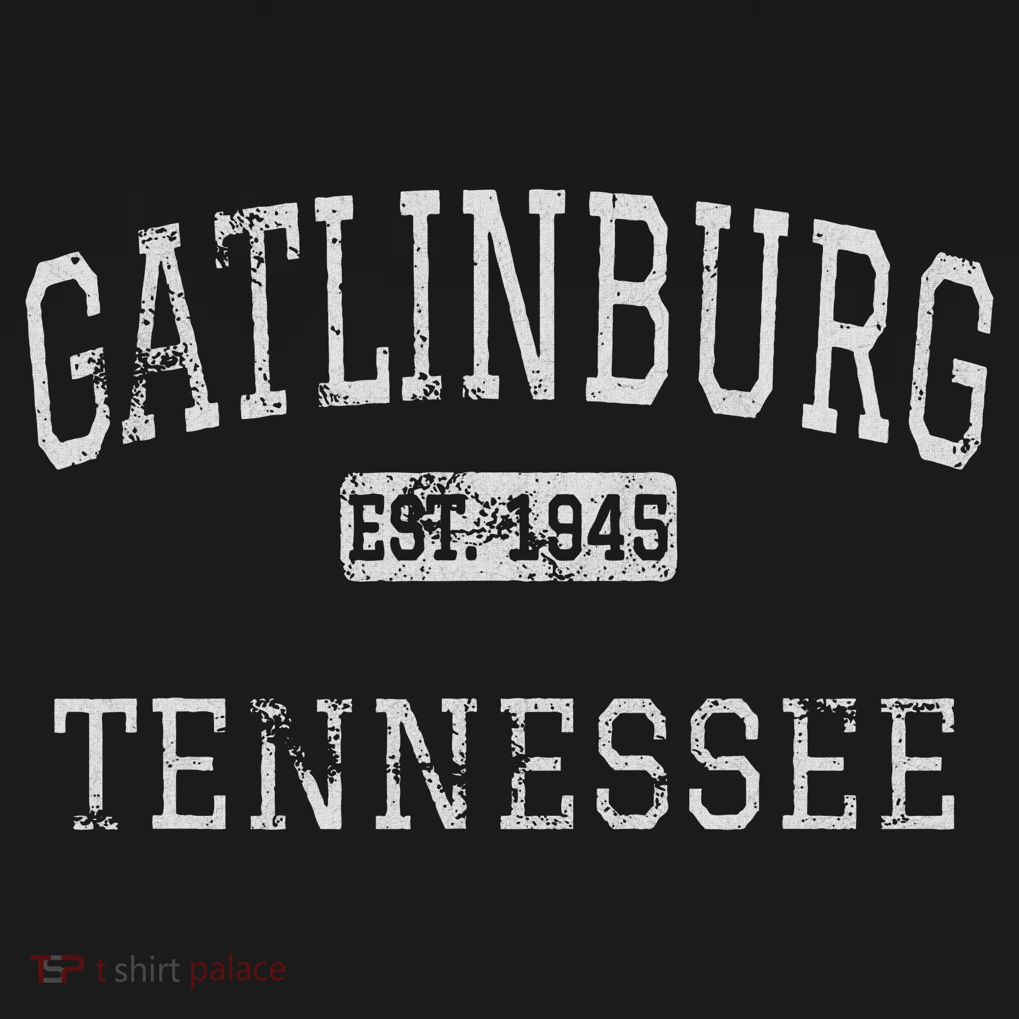 Gatlinburg Tennessee Tn Vintage T-Shirt