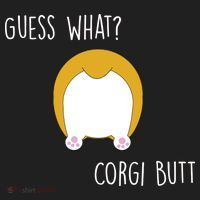 Guess What Corgi Butt Women's Sweatshirt thumb 2
