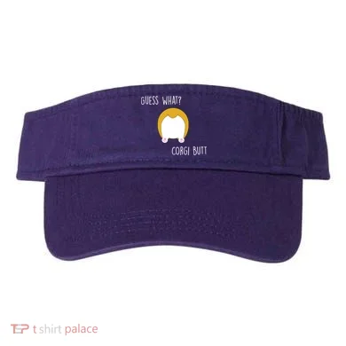 Visor