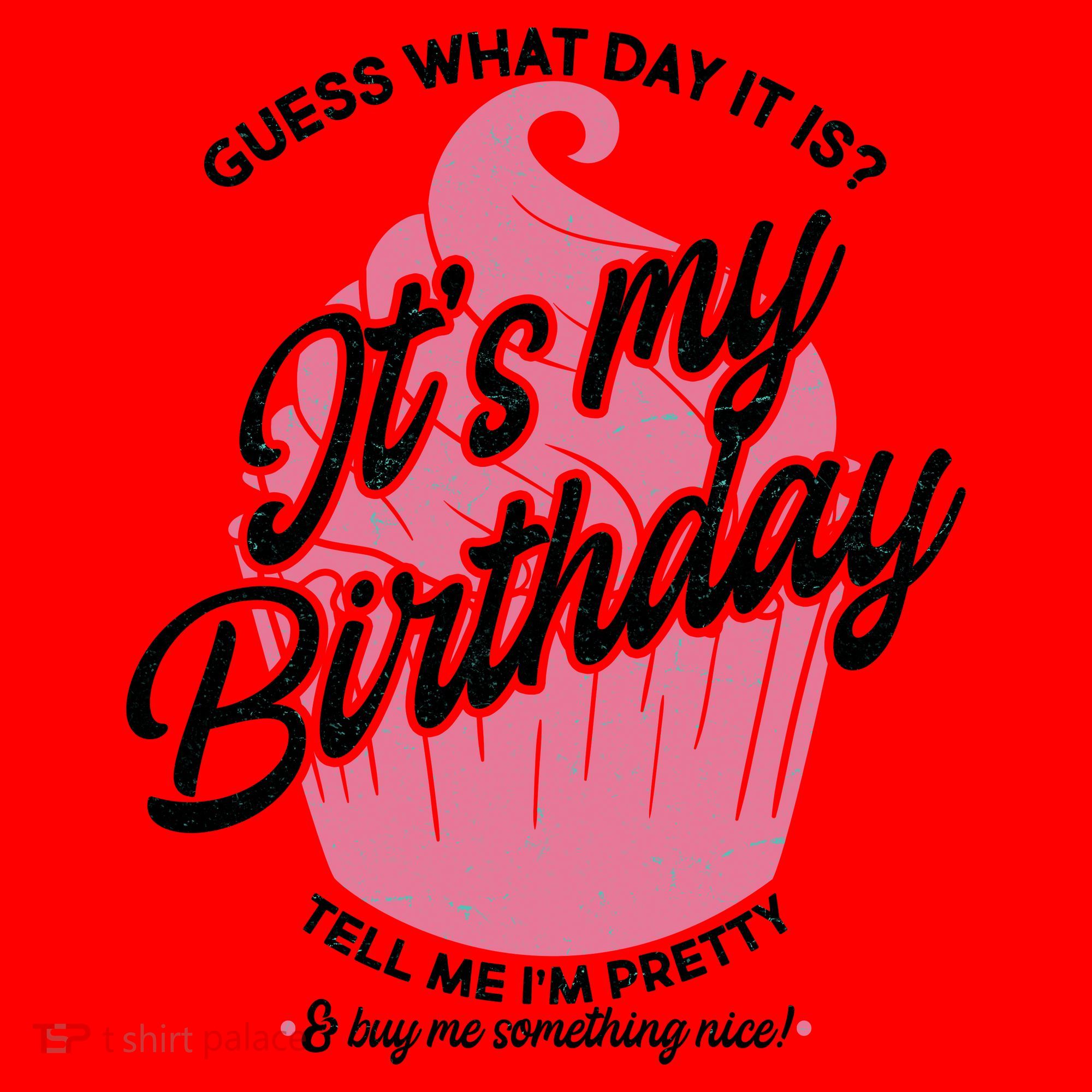 Guess What Day It Is? It's My Birthday Tell Me I'm Pretty Santa Hat