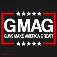 Guns Make America Great Toddler Hoodie thumb 2