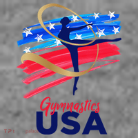 Gymnastics USA Support the Team USA Flag Toddler Hoodie thumb 2