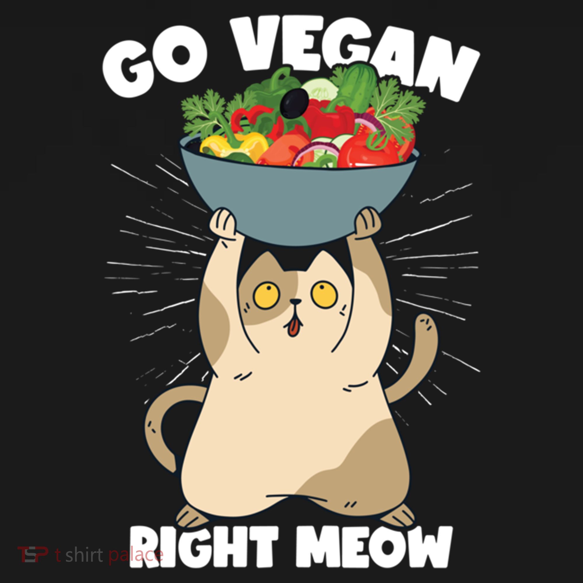 Go Vegan Right Meow Funny Veganism Cat Organic Food Vegan Gift Women's Hoodie