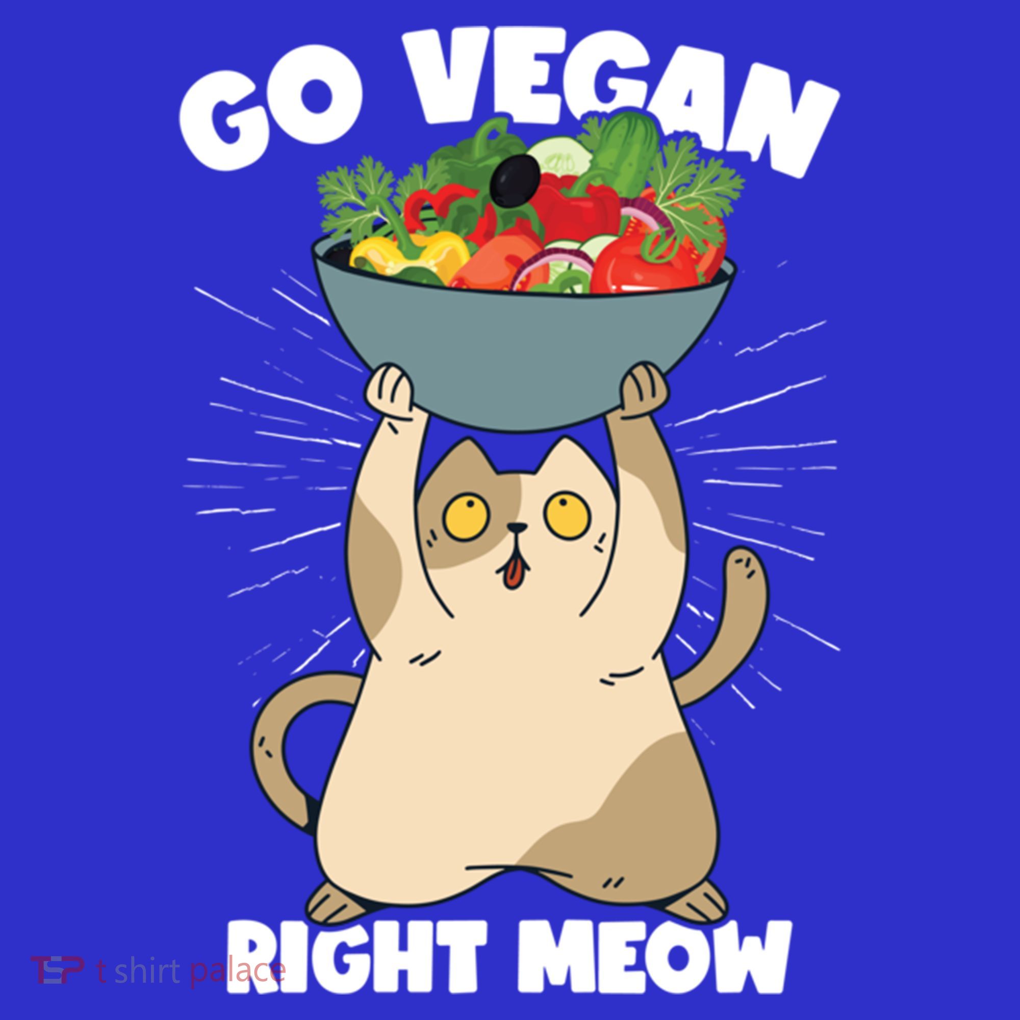 Go Vegan Right Meow Funny Veganism Cat Organic Food Vegan Gift Women's Tank Top