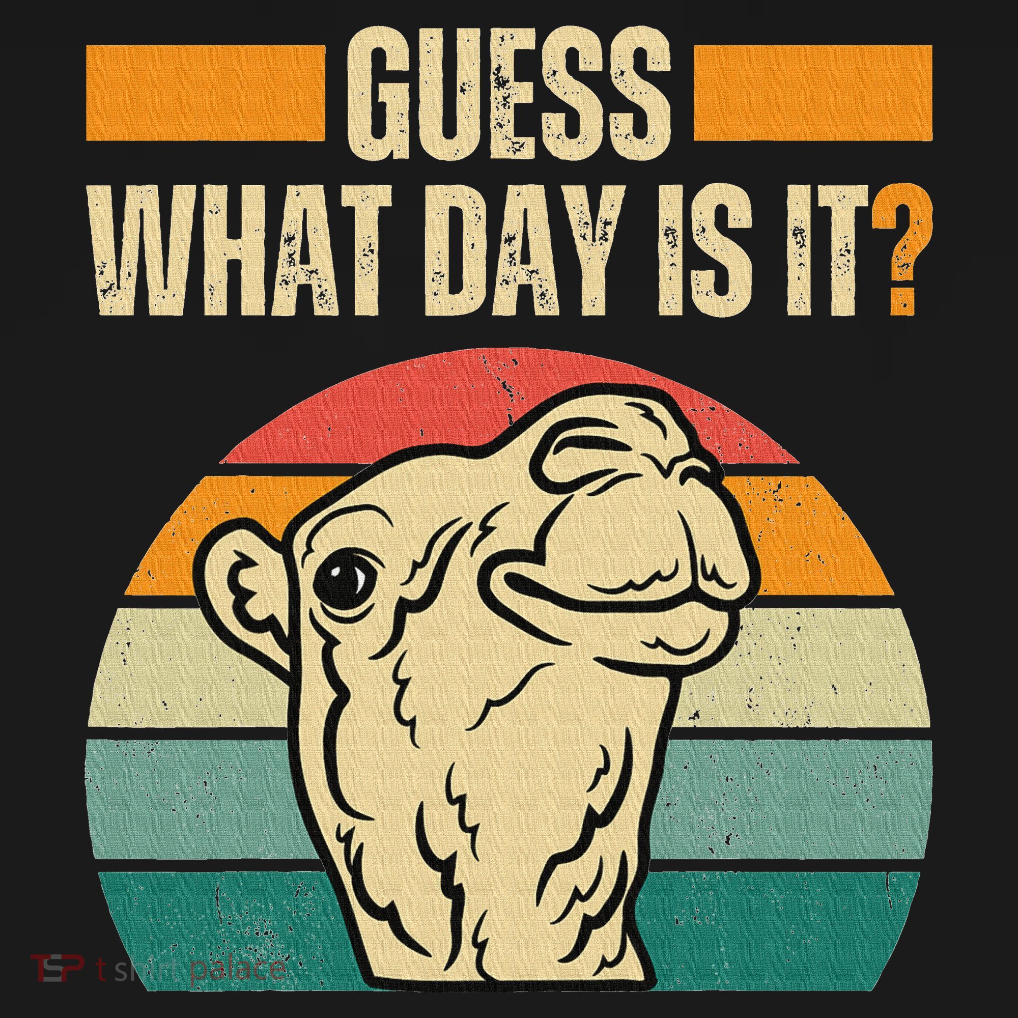 Guess What Day Is It Camel Hump Day Camel Wednesday Funny Women's Hoodie