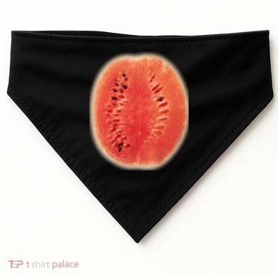 Giant Watermelon USA-Made Doggie Bandana