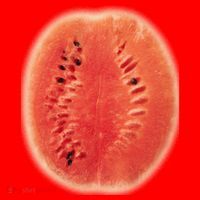 Giant Watermelon Santa Hat thumb 1