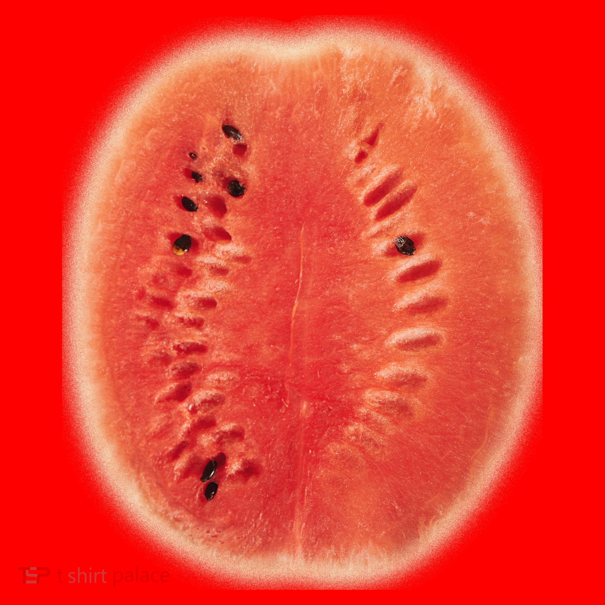 Giant Watermelon Santa Hat
