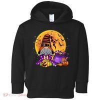 Gnome Witch Halloween Costume Pumpkin Autumn Fall Holiday Toddler Hoodie thumb 0