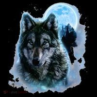 Grey Wolf Hunting Ground Icy Moon Forest Galaxy Women's Hoodie thumb 2