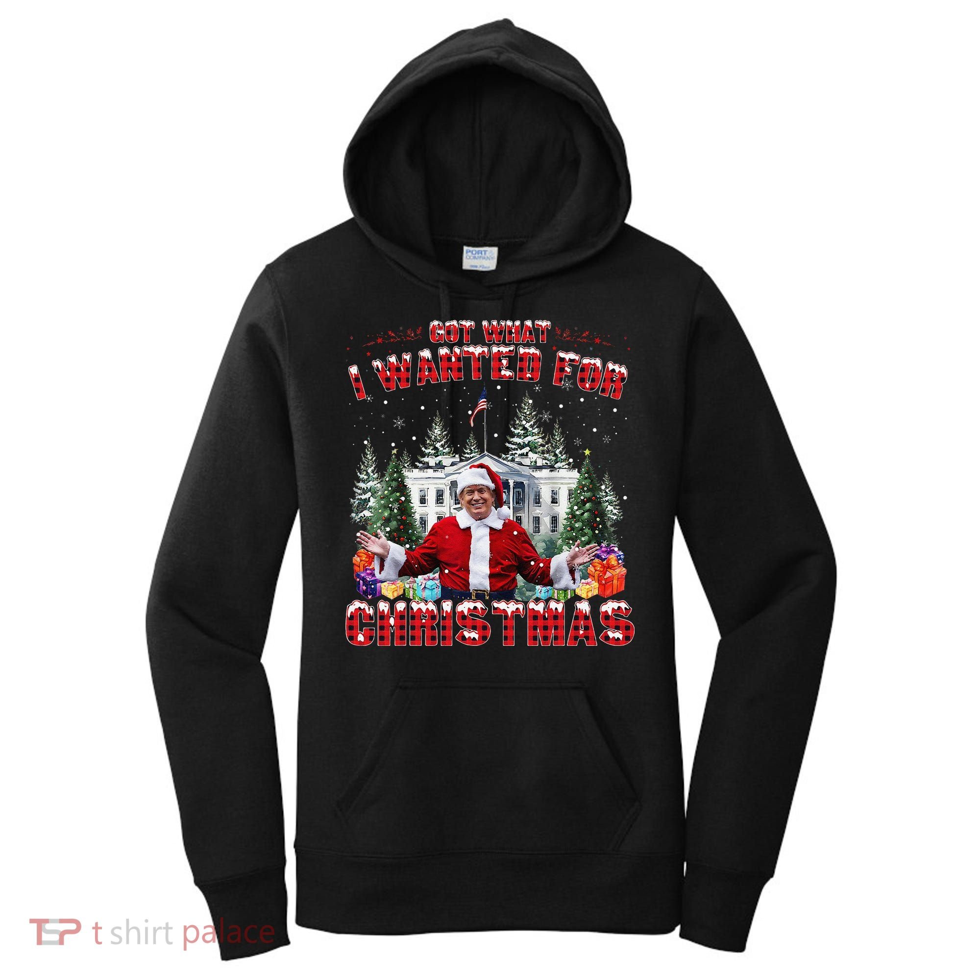 Got What I Wanted For Christmas Trump Won Trump President Women's Hoodie