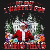 Got What I Wanted For Christmas Trump Won Trump President Women's Hoodie thumb 2