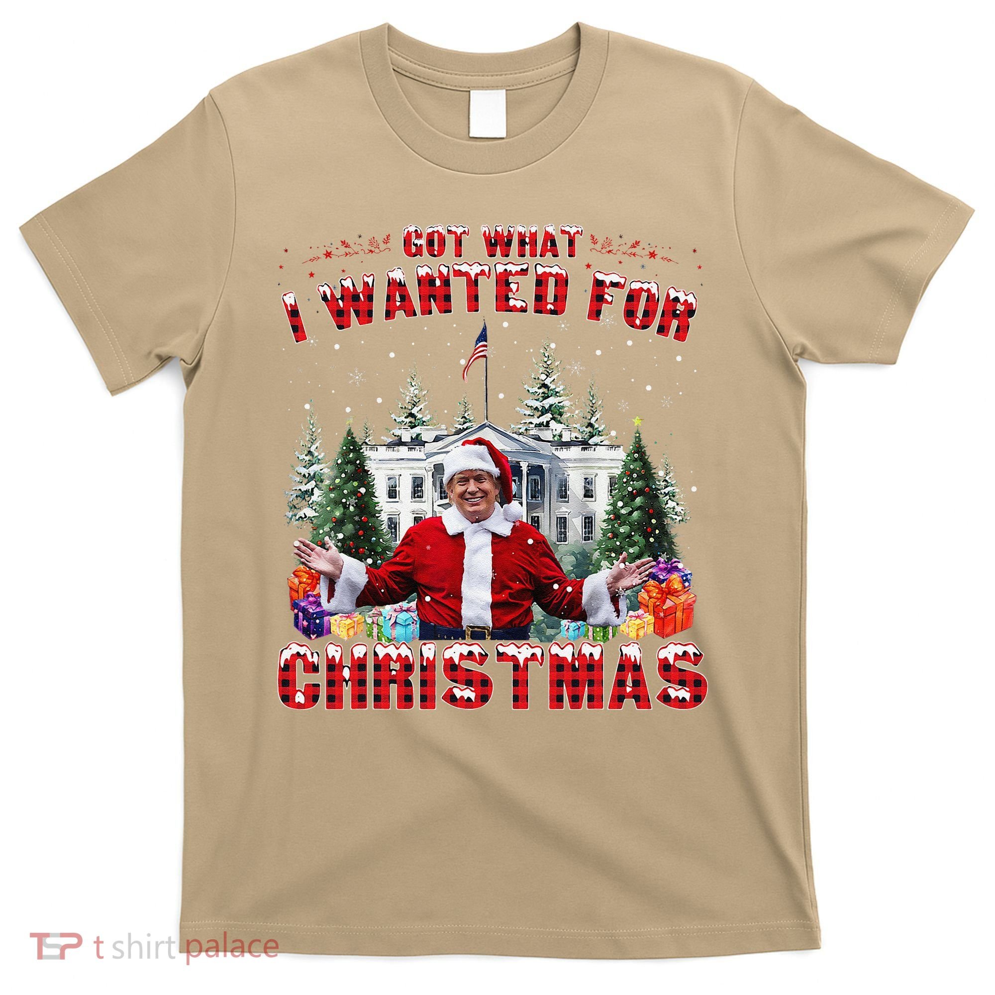 Got What I Wanted For Christmas Trump Won Trump President T-Shirt