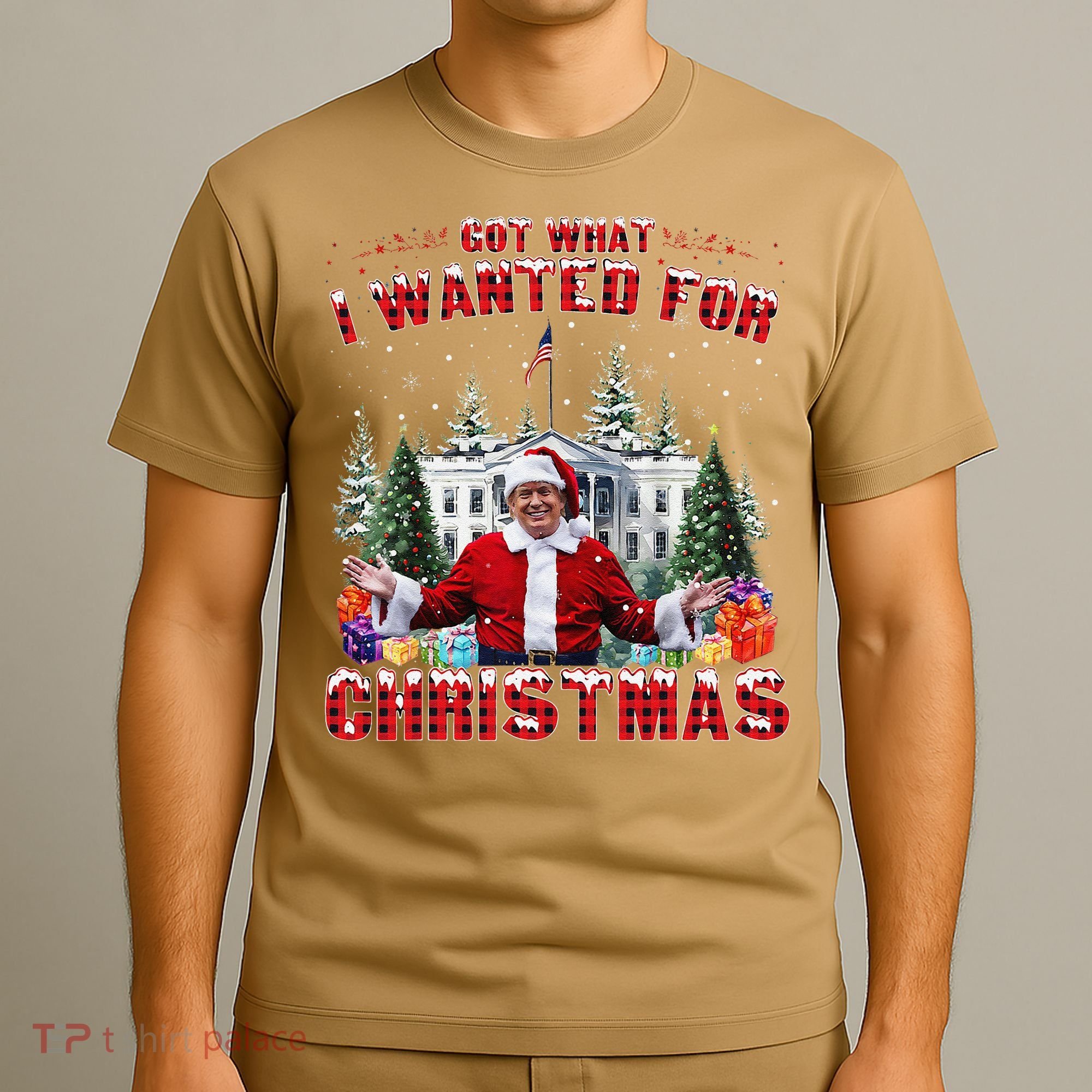 Got What I Wanted For Christmas Trump Won Trump President T-Shirt