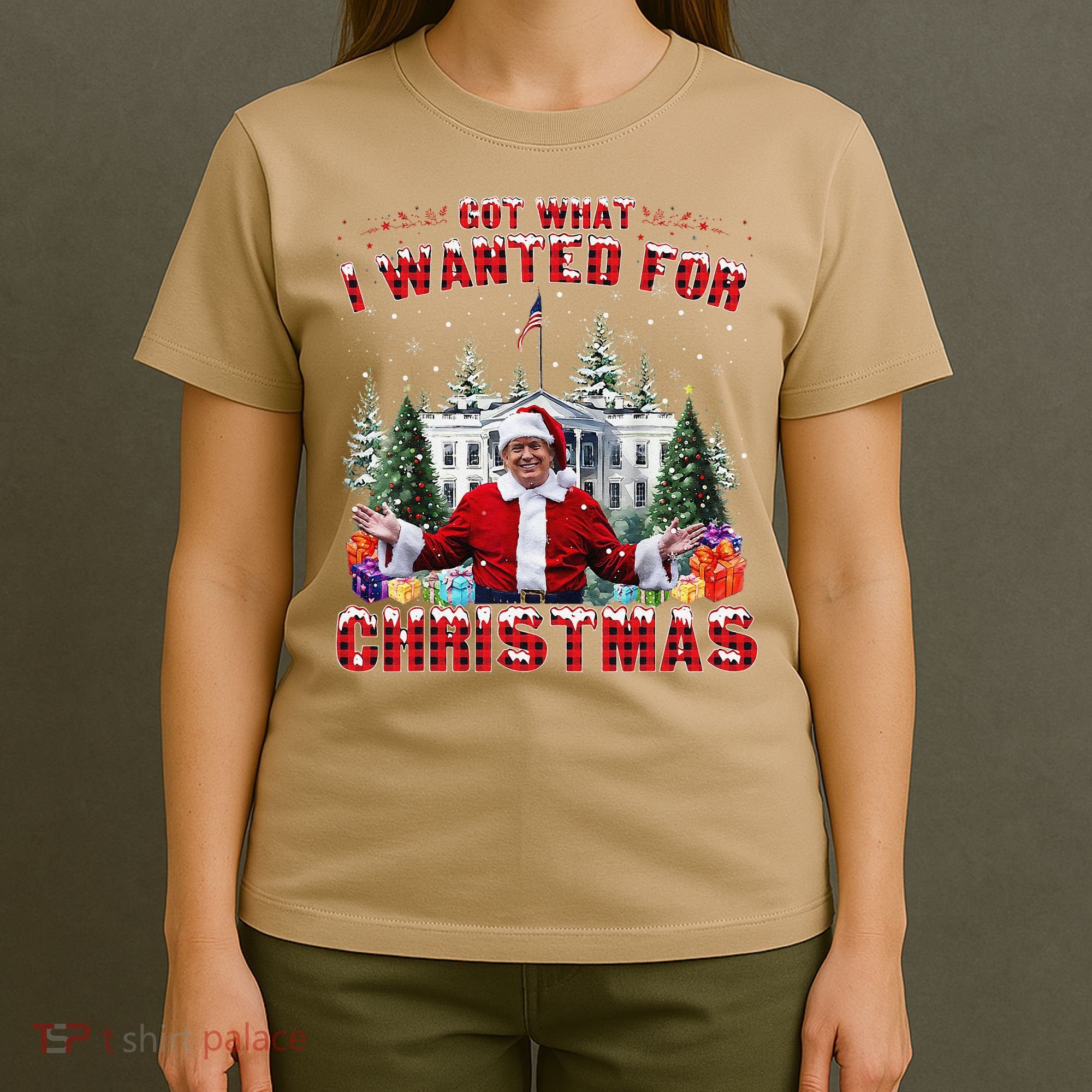 Got What I Wanted For Christmas Trump Won Trump President T-Shirt