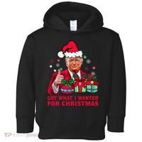 Got What I Wanted For Christmas Trump 2024 Won President Toddler Hoodie thumb 0