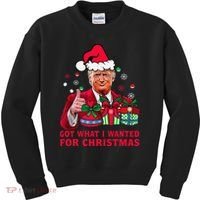 Got What I Wanted For Christmas Trump 2024 Won President Kids Sweatshirt thumb 0