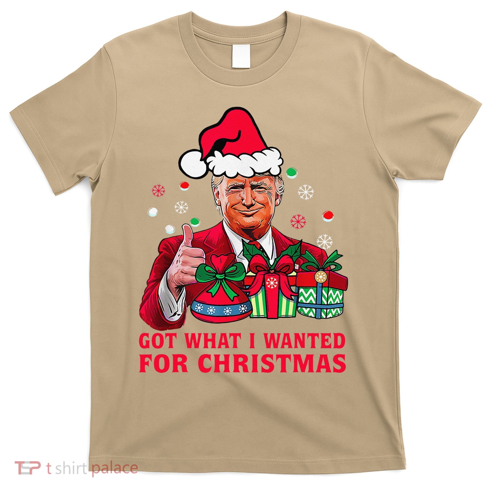 Got What I Wanted For Christmas Trump 2024 Won President T-Shirt