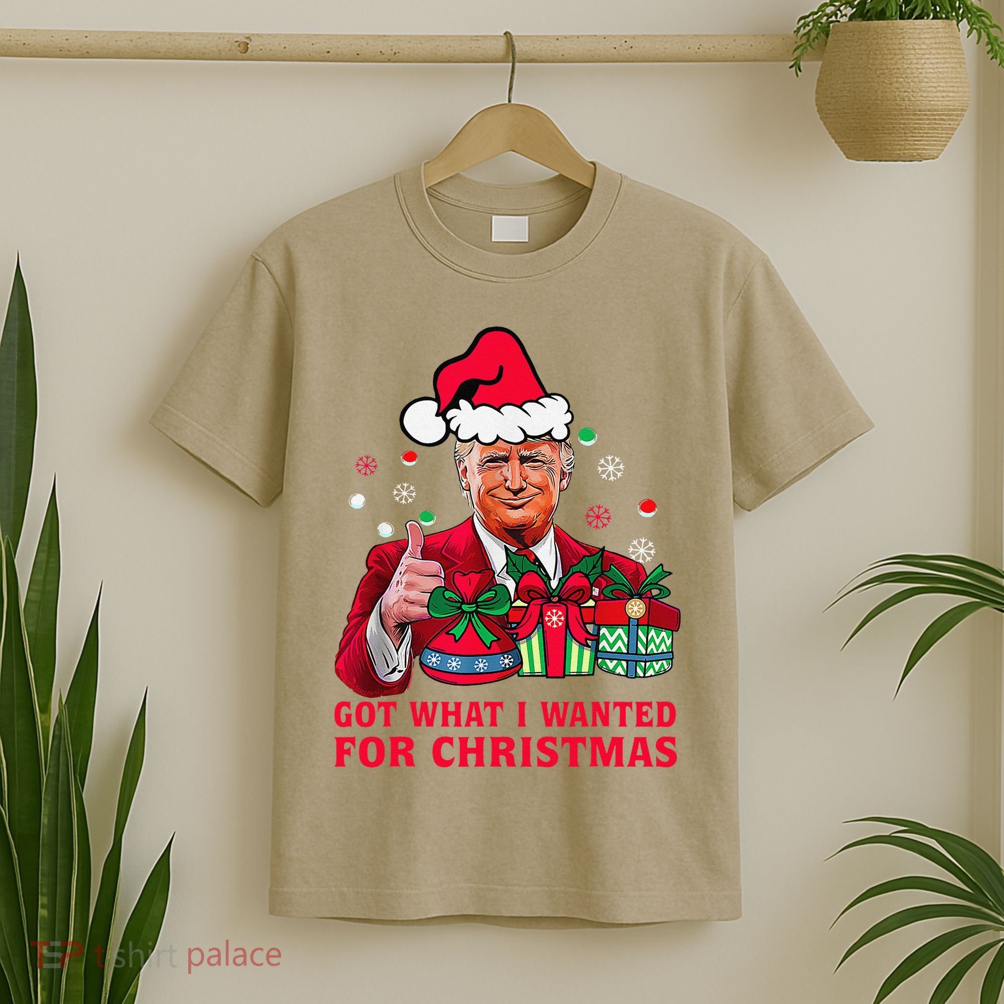Got What I Wanted For Christmas Trump 2024 Won President T-Shirt