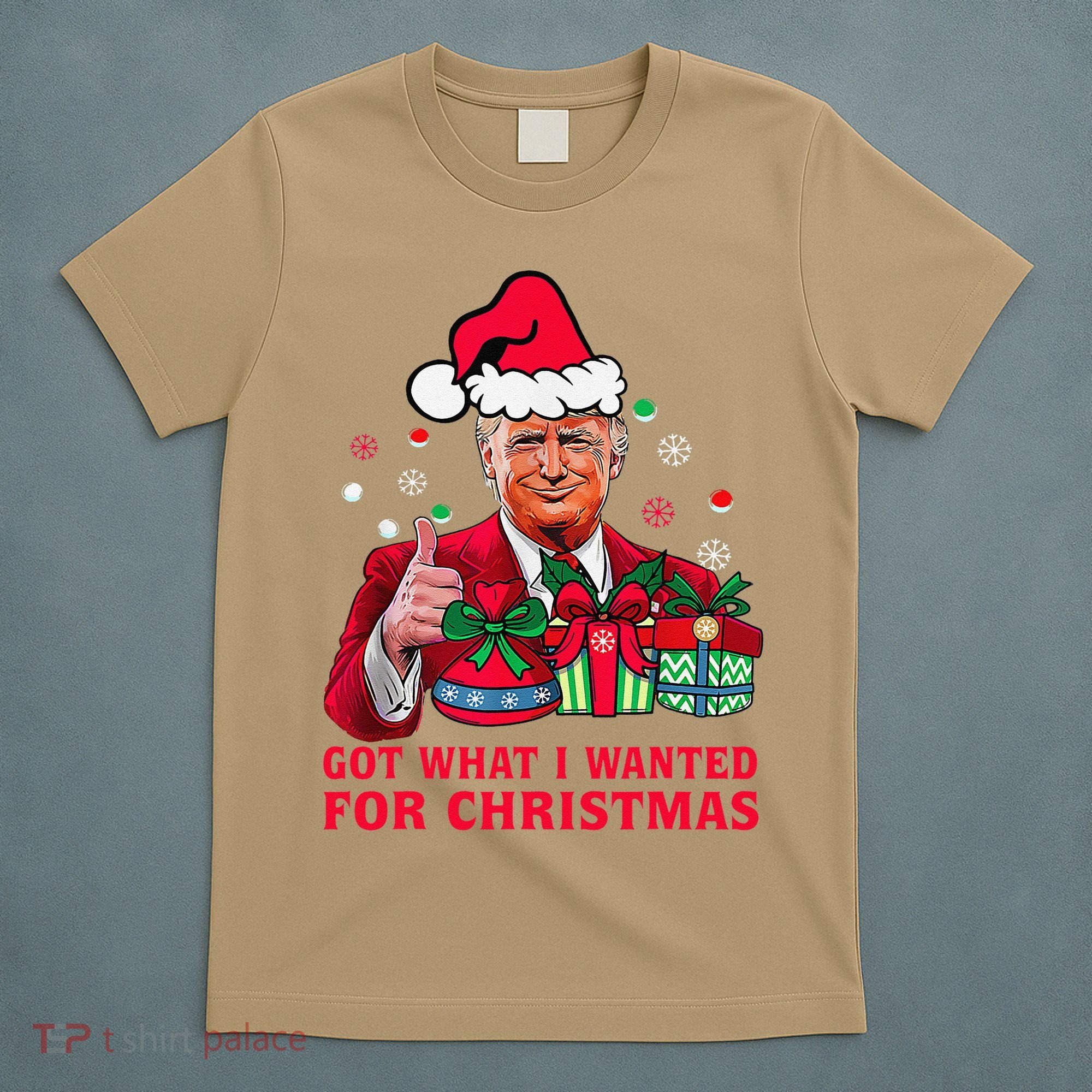 Got What I Wanted For Christmas Trump 2024 Won President T-Shirt