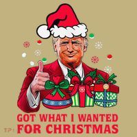Got What I Wanted For Christmas Trump 2024 Won President Mousepad thumb 1