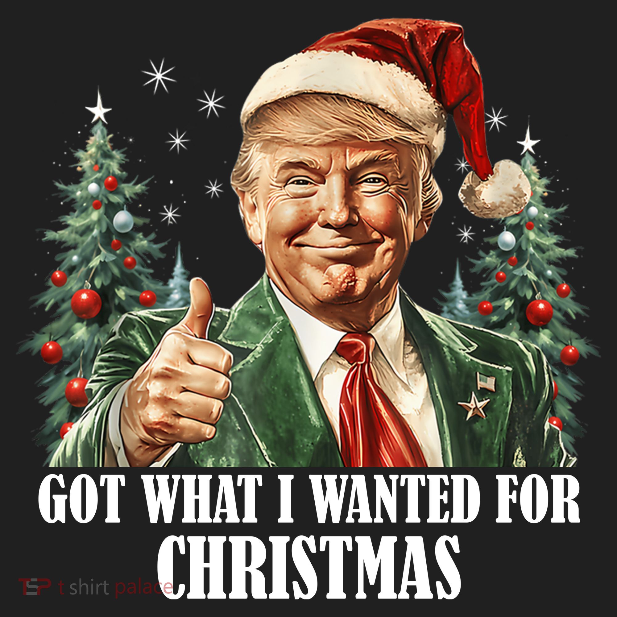 Got What I Wanted For Christmas Donald Trump Women's Sweatshirt