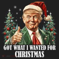 Got What I Wanted For Christmas Donald Trump Beanie thumb 2