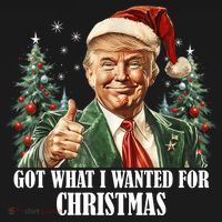Got What I Wanted For Christmas Donald Trump Women's Hoodie thumb 2