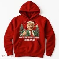 Got What I Wanted For Christmas Donald Trump Hoodie thumb 0