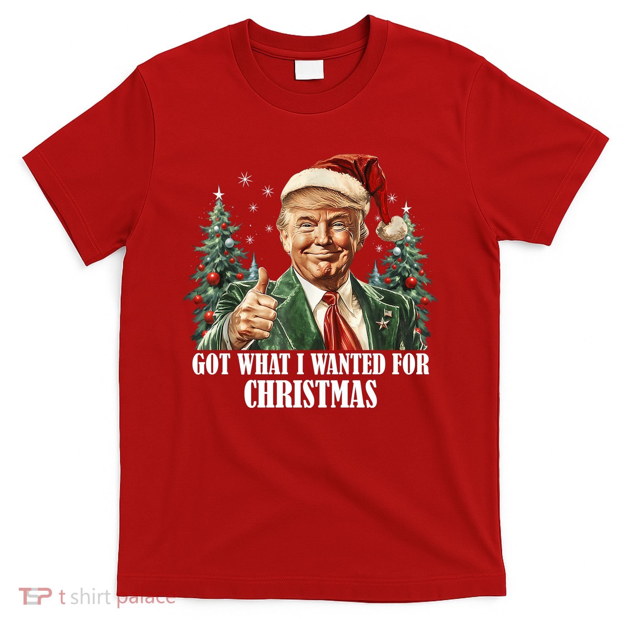 Got What I Wanted For Christmas Donald Trump T-Shirt