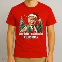 Got What I Wanted For Christmas Donald Trump T-Shirt thumb 3