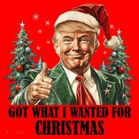 Got What I Wanted For Christmas Donald Trump Santa Hat thumb 1