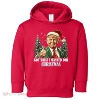 Got What I Wanted For Christmas Donald Trump Toddler Hoodie thumb 0