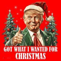 Got What I Wanted For Christmas Donald Trump Toddler Hoodie thumb 2