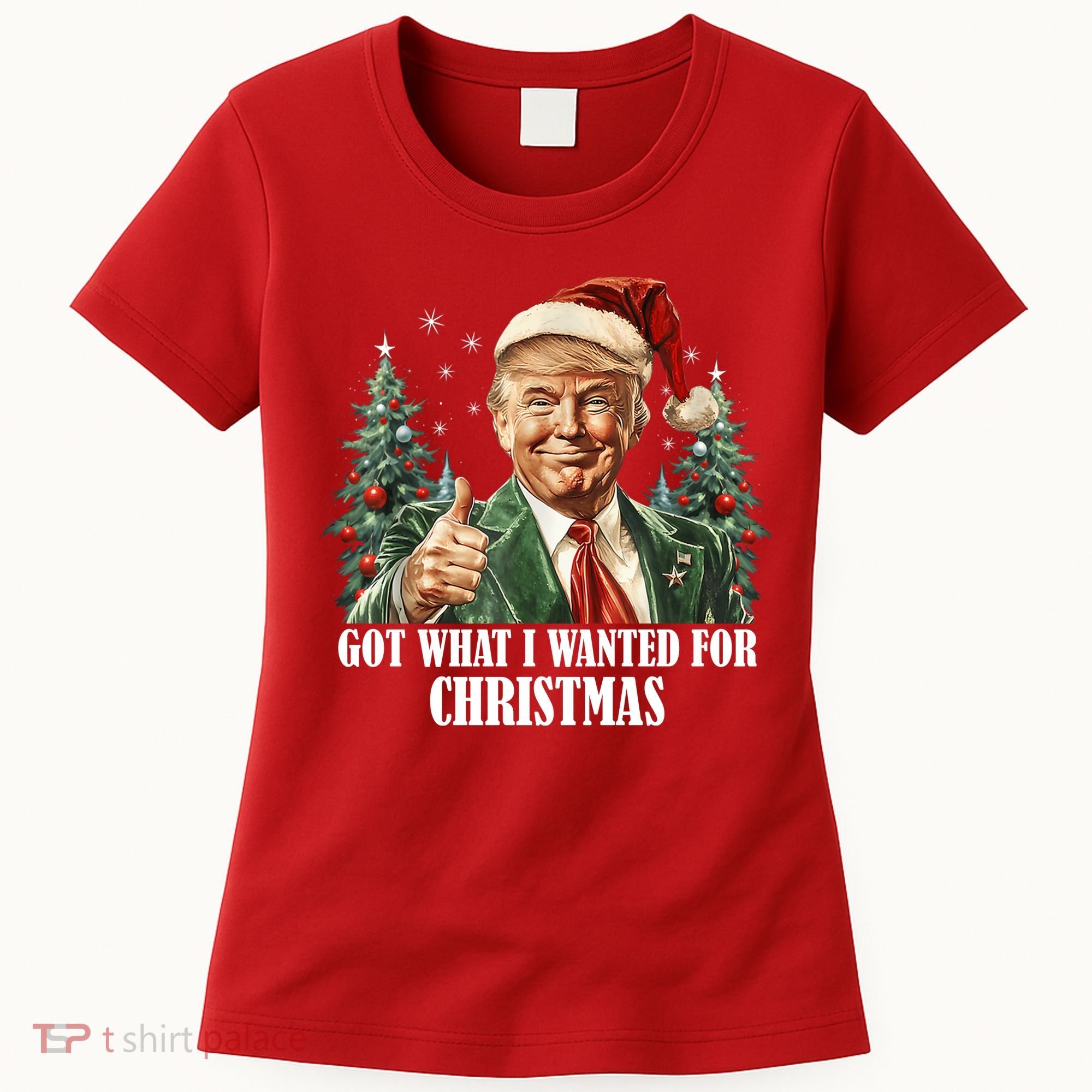 Got What I Wanted For Christmas Donald Trump Women's T-Shirt