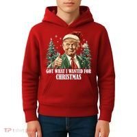 Got What I Wanted For Christmas Donald Trump Kids Hoodie thumb 4