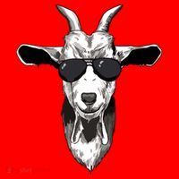 Goat With Sunglasses Santa Hat thumb 1
