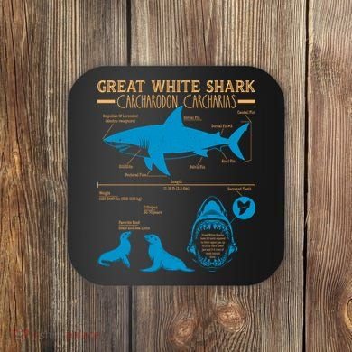 Great White Shark Carcharodon Carcharias Infographic Coaster