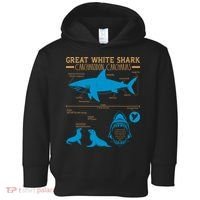 Great White Shark Carcharodon Carcharias Infographic Toddler Hoodie thumb 0