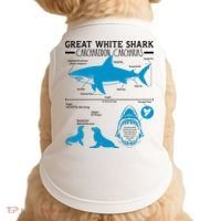 Great White Shark Carcharodon Carcharias Infographic Doggie Tank thumb 0